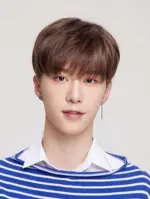 Fan Cheng Cheng