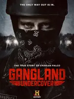 Gangland Undercover