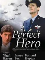 A Perfect Hero