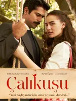 Çalıkuşu