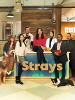 Strays