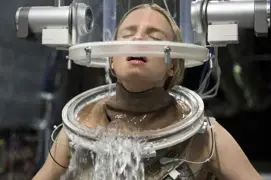 The OA