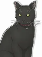 Black Cat