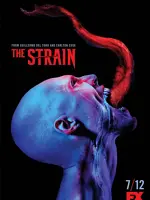 The Strain