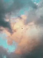 The Man Who Fell to Earth