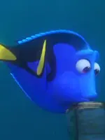 Dory