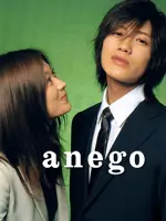 Anego
