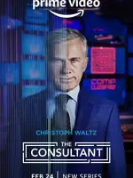 The Consultant