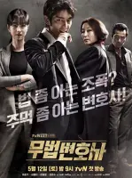 Lawless Lawyer