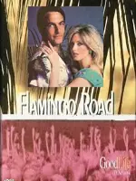 Flamingo Road