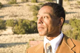 Gustavo 'Gus' Fring