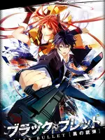 Black Bullet