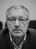 Аркадий Шварцер