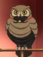 Fukulota