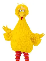 Big Bird