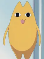 Chiyochichi