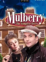 Mulberry