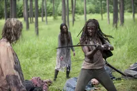 Michonne
