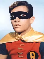 Robin the Boy Wonder / Dick Grayson