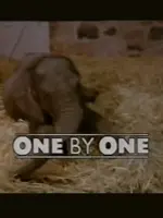 One by One