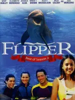Flipper
