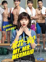 My Mr. Mermaid